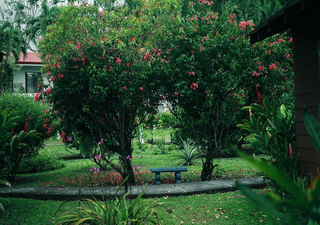 Eco Arenal
